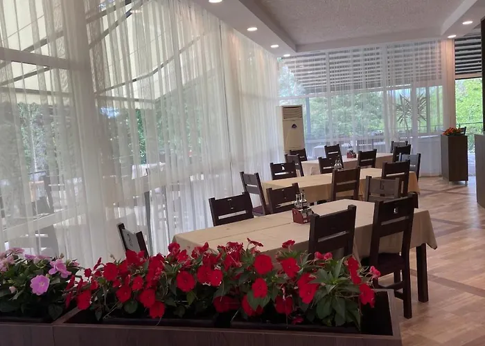 호텔 St. Sofia 키텐